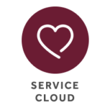 Salesforce Service Cloud Icon