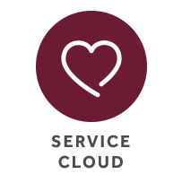 Salesforce Service Cloud Icon